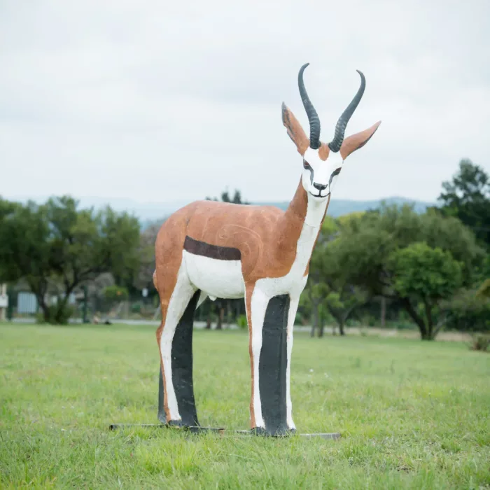 Springbuck Ram (Replaceable Core) - Group 3 (15.3kg) - 3D archery ...